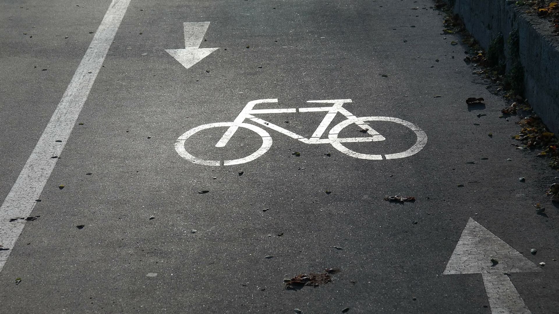 Aantal fietsslachtoffers in het verkeer neemt toe