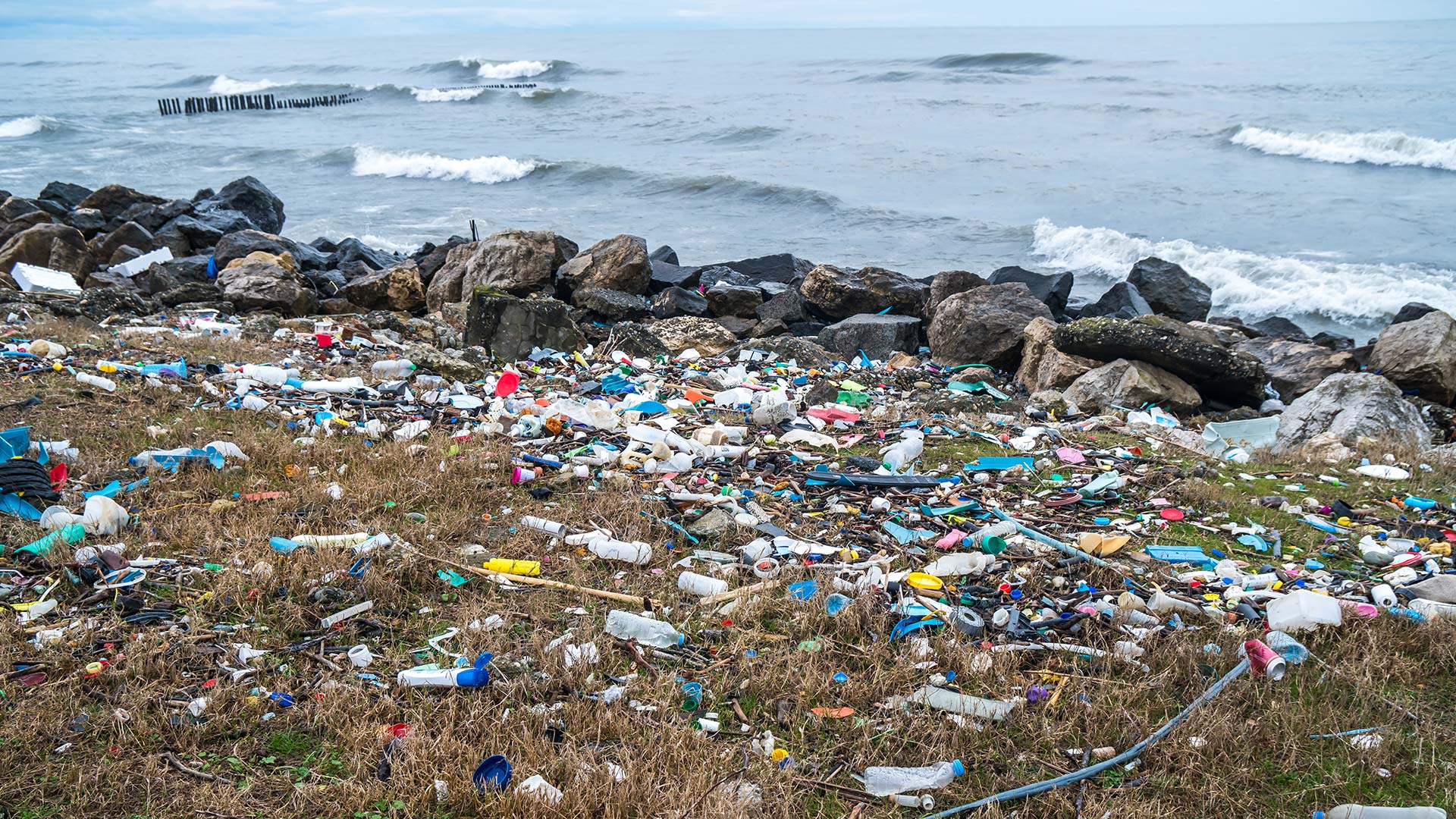 Europees verbod op wegwerpplastic