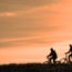fietssuggestiestroken