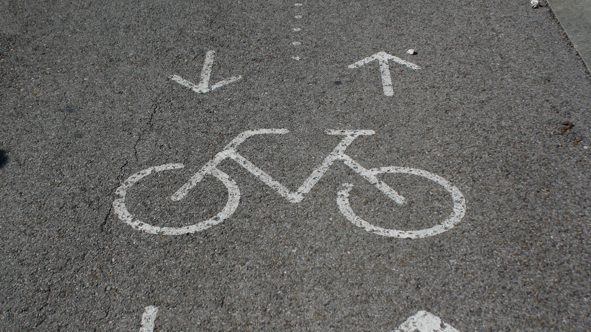 De voorbije vijf jaar zijn er 22 mensen gestorven na een ongeval op een fietspad in twee richtingen. In totaal telt zo'n fietspad zelfs vijftig procent meer ongevallen dan haar evenknie in 1 richting.